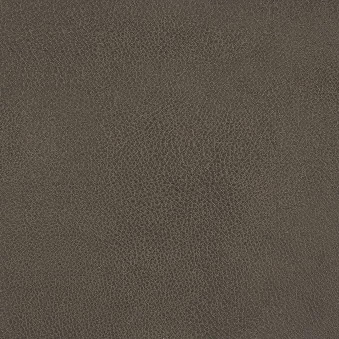 HomePop Modern Metal Frame Accent Chair|Homepop Home Décor|Accent Chairs for Living Room & Bedroom - Pewter Gray Faux Leather