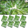 8 Pcs Fluorescent Light Covers - 4 x 2 Feet Covers for Ceiling Lights, Magnetic Light Filters for Classroom, Office, Hospitals, Home