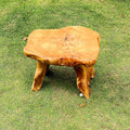 Brefhome Cedar Wood Stump Outdoor/Indoor Side Table,Garden Stool End Table,Little Wooden Plant Stool,Small Wood Seat Stool, wood stool-3, Light Brown
