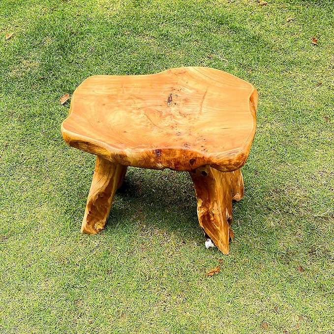 Brefhome Cedar Wood Stump Outdoor/Indoor Side Table,Garden Stool End Table,Little Wooden Plant Stool,Small Wood Seat Stool, wood stool-3, Light Brown
