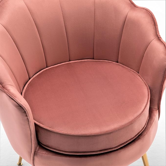 Container Furniture Direct Velvet Barrel Accent Chair with Scalloped Silhouette and Gold Metal Legs, Decorative Piece Suitable for Traditional, Modern, and Contemporary Spaces, Rose