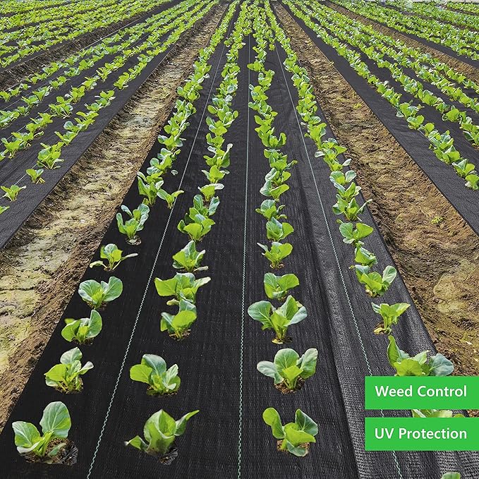 EXTRAEASY Weed Barrier Fabric 3.2oz Heavy Duty - 4ft x 300ft Landscape Fabric | Easy Install & Rugged Plastic Ground Cover Weed Barrier with UV Protection for Gardens, Landscaping Fabric